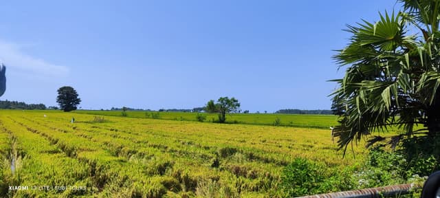 /clients/image_ (16).jpeg - Book a taxi with a driver in Sri Lanka for hassle-free travel. Discover amazing tour packages and explore the beauty of Sri Lanka