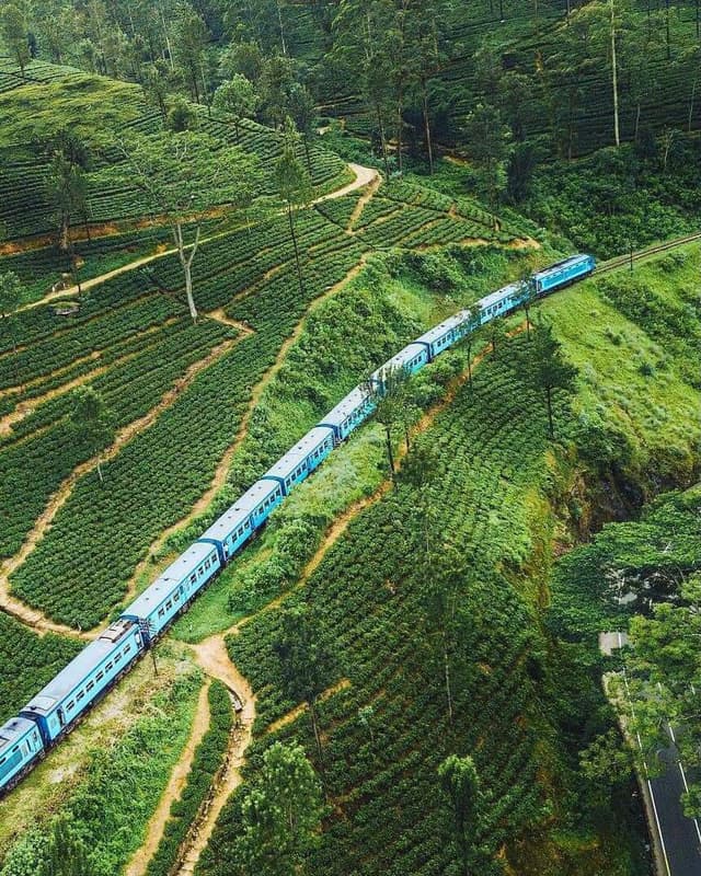 /clients/image_ (18).jpeg - Book a taxi with a driver in Sri Lanka for hassle-free travel. Discover amazing tour packages and explore the beauty of Sri Lanka