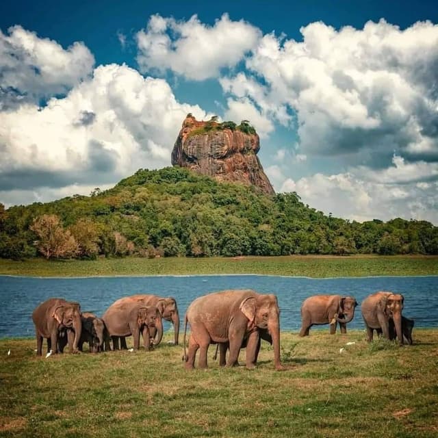 /clients/image_ (19).jpeg - Book a taxi with a driver in Sri Lanka for hassle-free travel. Discover amazing tour packages and explore the beauty of Sri Lanka