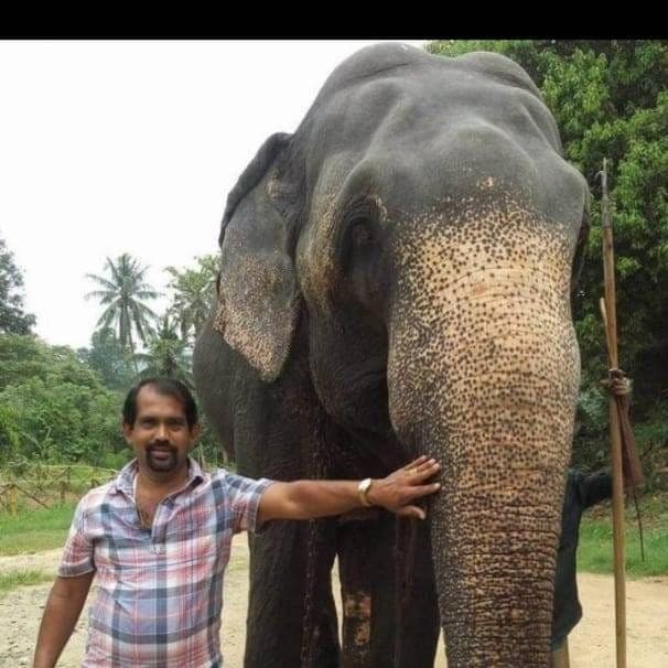 /clients/image_ (30).jpeg - Book a taxi with a driver in Sri Lanka for hassle-free travel. Discover amazing tour packages and explore the beauty of Sri Lanka
