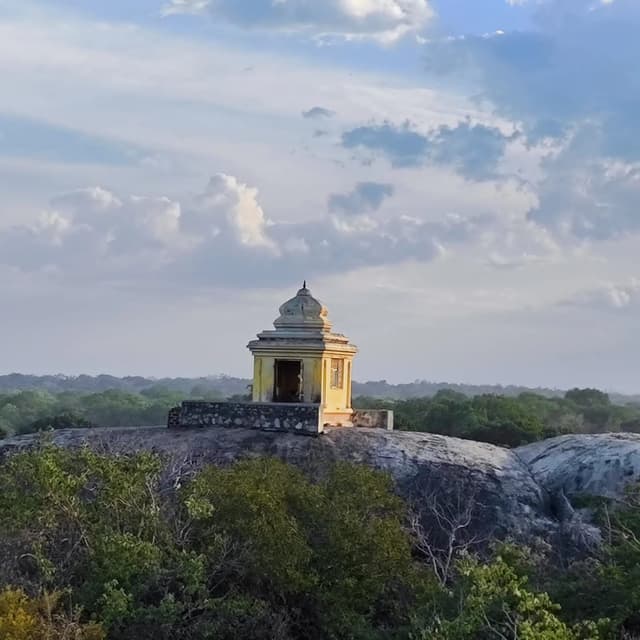 /clients/image_ (46).jpeg - Book a taxi with a driver in Sri Lanka for hassle-free travel. Discover amazing tour packages and explore the beauty of Sri Lanka
