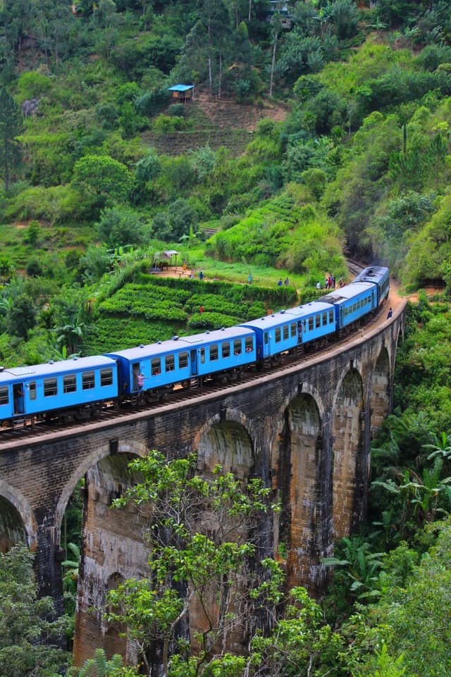 /clients/image_ (72).jpeg - Book a taxi with a driver in Sri Lanka for hassle-free travel. Discover amazing tour packages and explore the beauty of Sri Lanka