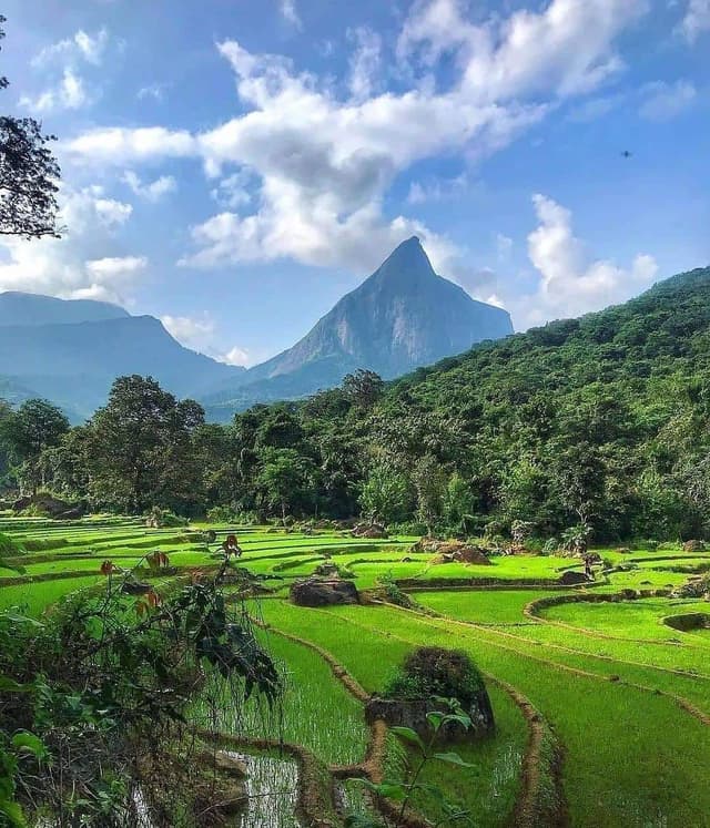 /clients/image_ (74).jpeg - Book a taxi with a driver in Sri Lanka for hassle-free travel. Discover amazing tour packages and explore the beauty of Sri Lanka