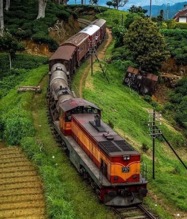 /clients/image_ (75).jpeg - Book a taxi with a driver in Sri Lanka for hassle-free travel. Discover amazing tour packages and explore the beauty of Sri Lanka